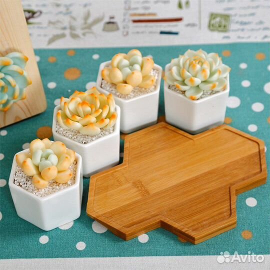 Горшки под суккуленты с отверстием