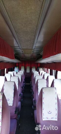 Заказ автобусов от 19 мест