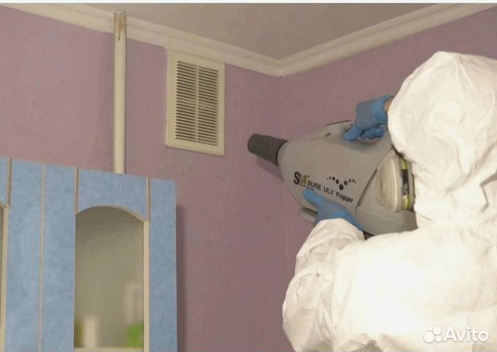 Уничтожение клопов тараканов