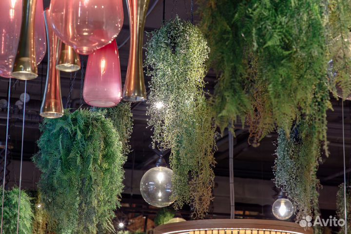 Вертикальное озеленение. Фитостена