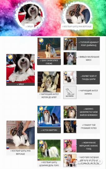 Бивер мальчик