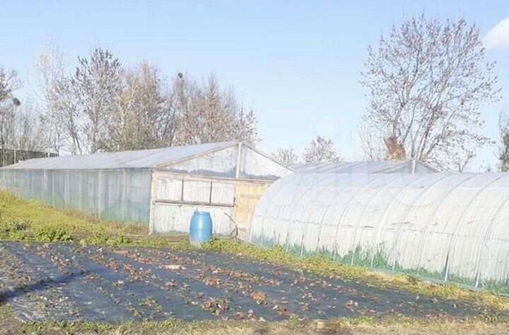 Участок 10 сот. (СНТ, ДНП)