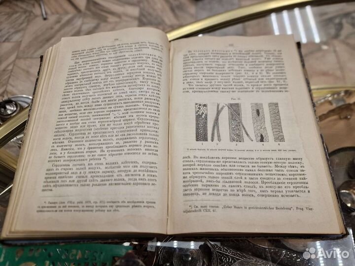 Книга Учебник судебной медицина 1881г