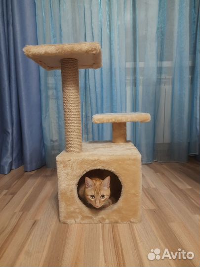 Домик для кошки