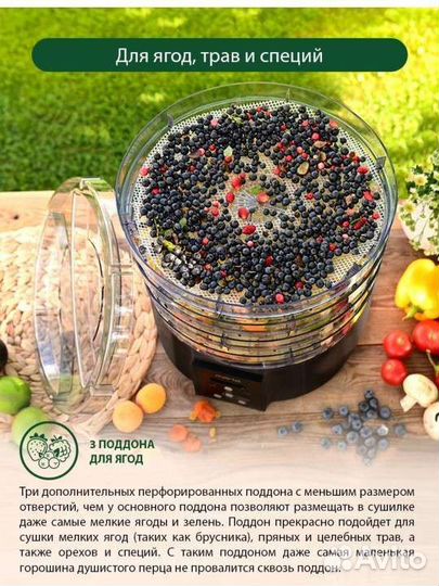 Сушилка для овощей и фруктов