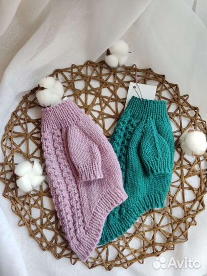 Вязаная одежда для собак