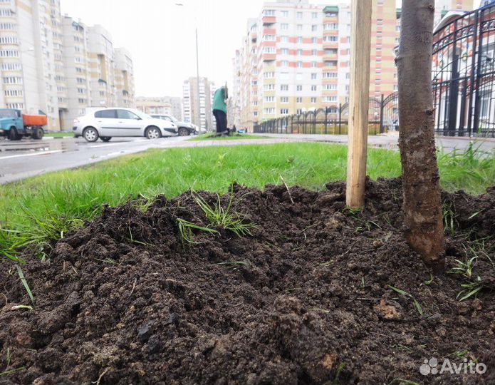 Плодородный грунт в мешках ч-6