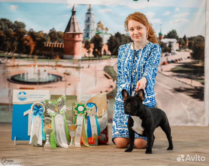 Хендлер. Выезд по Москве