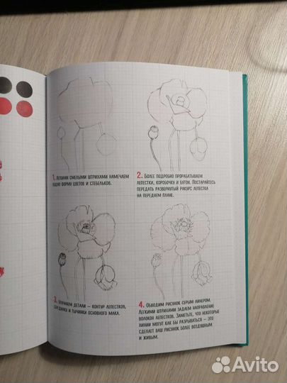 Скетчбук по ботанической иллюстрации