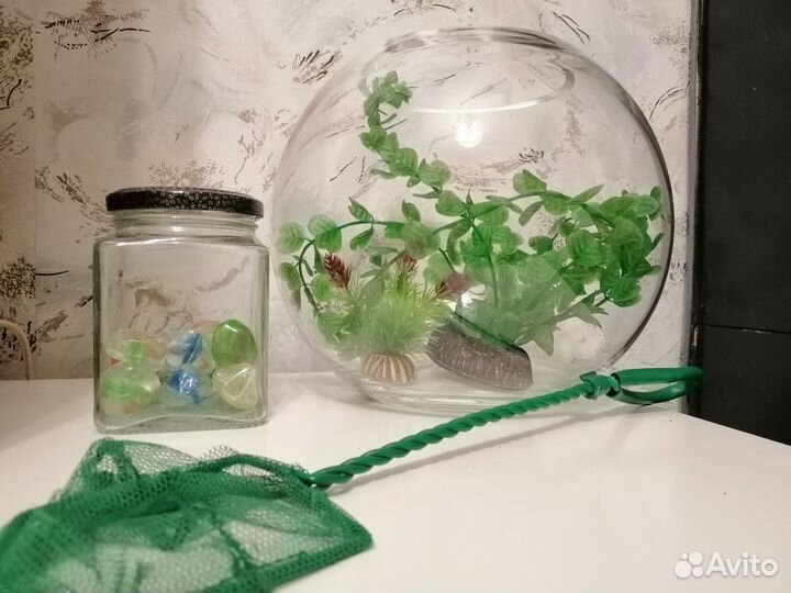 Круглый аквариум и принадлежности