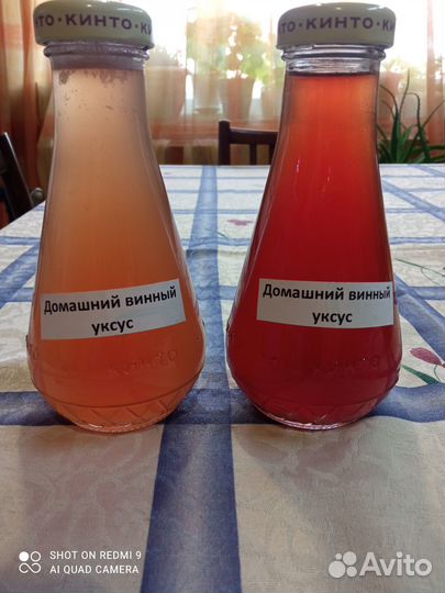 Домашние яблочный, виноградный, вишневый уксус