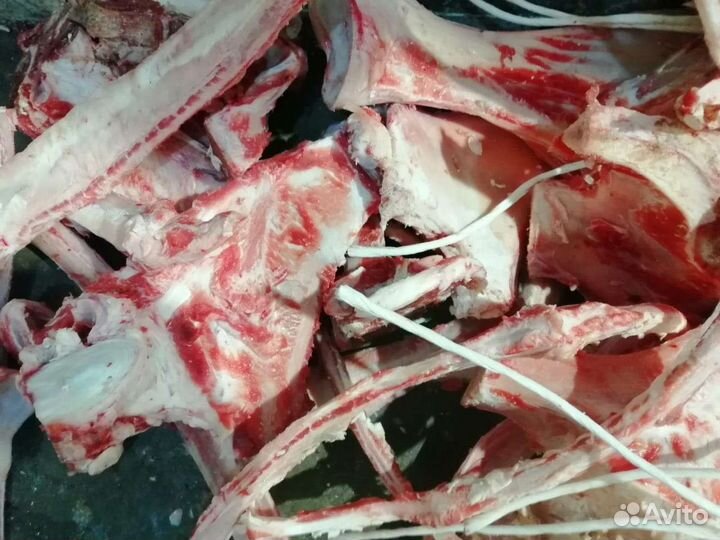 Мясо и кости для собак