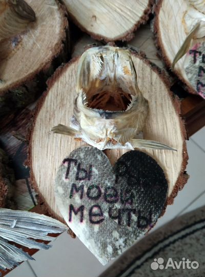 Щука-чучела