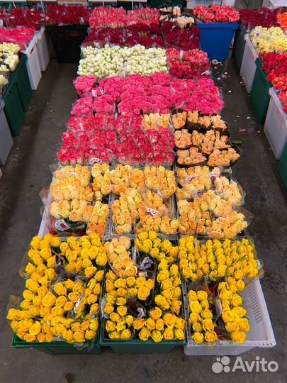 Курсы флористики