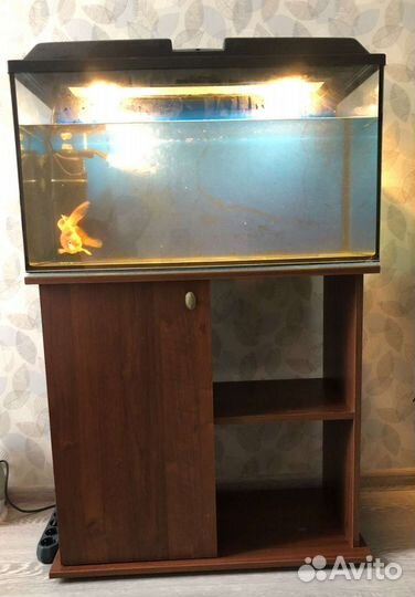 Аквариум 100л с тумбой и разные товары