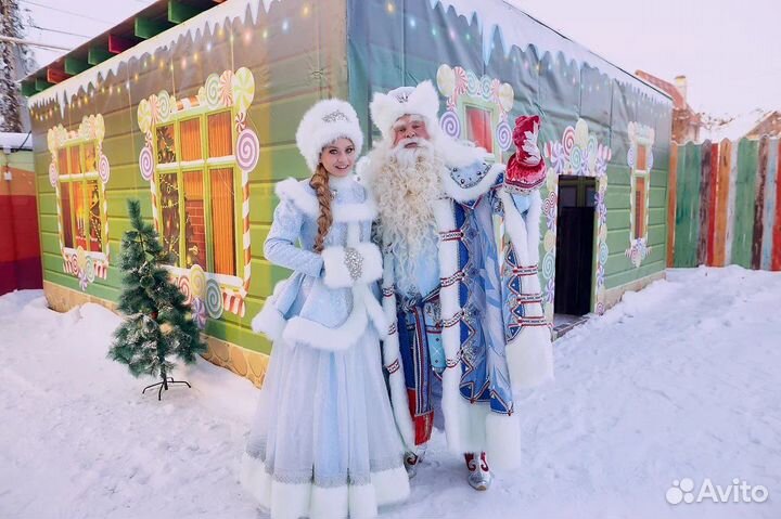 Дед Мороз на дом