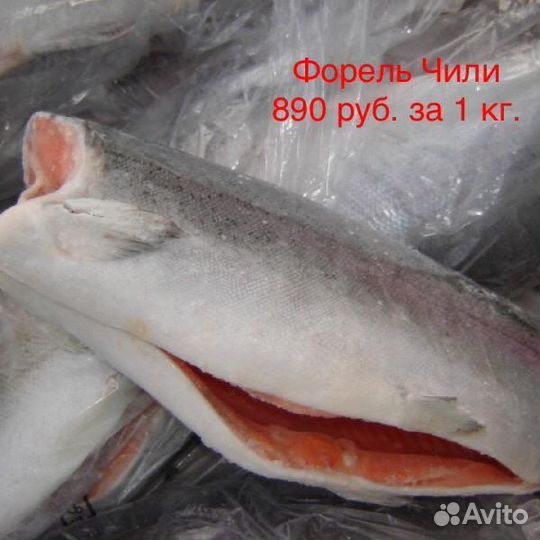 Рыба Семга Форель Кижуч Кета Мойва Скумбрия Щука