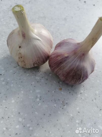 Набор для солений