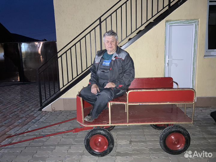 К Лошади пони, 