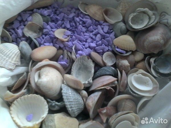 Камушки ракушки для аквариума и т.п