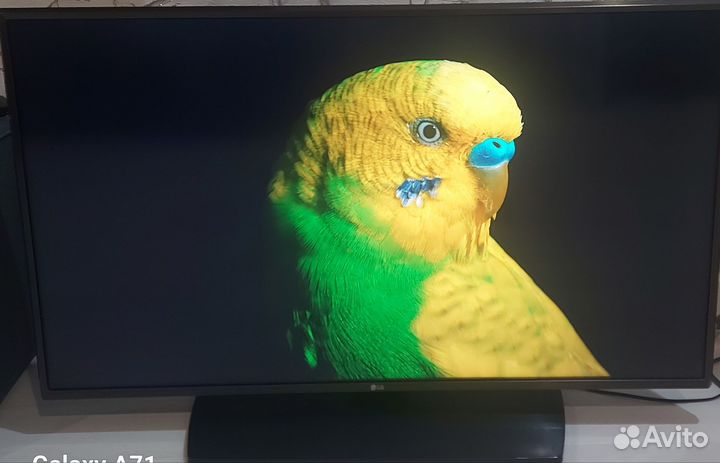 Телевизор 43 дюйма lg