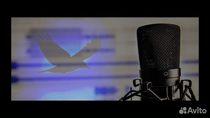 Запись голоса. Свадебная песня, танец, подарок