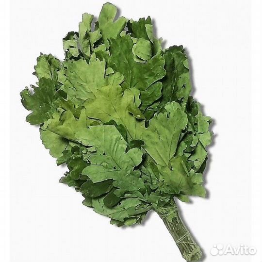 Веники Дубовые