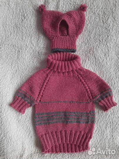 Одежда для животных