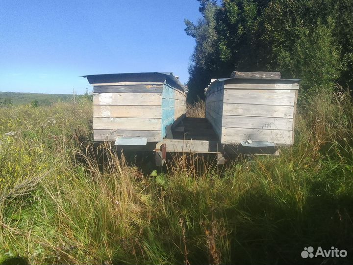 Улей для пчел бу