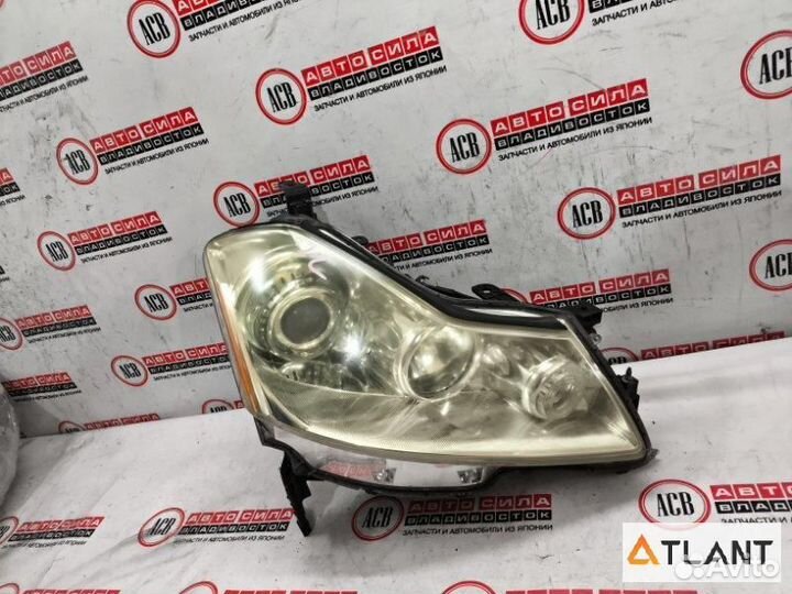 Фара правая nissan fuga