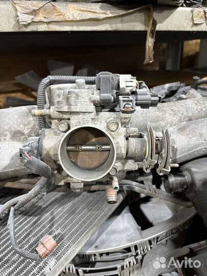 Впускной коллектор ej205