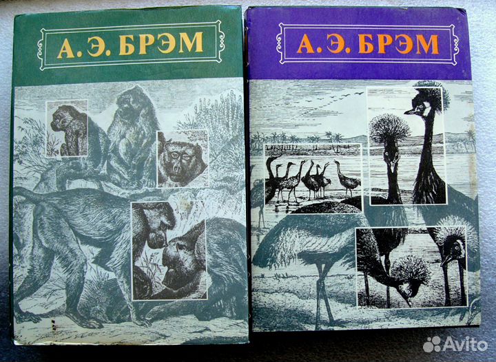 Брэм. Жизнь животных