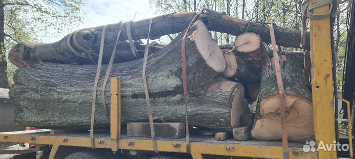 Расчистка участка