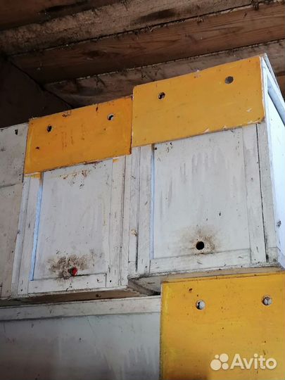 Пакеты для пчел