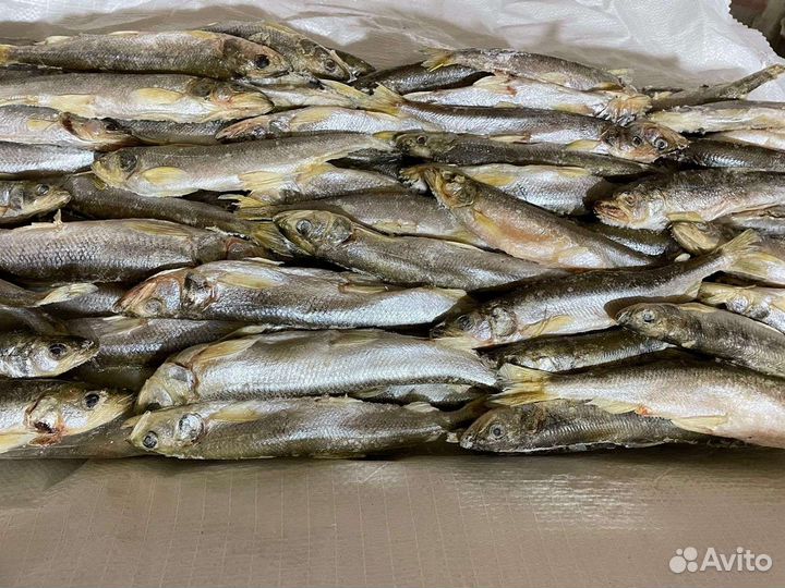 Корюшка свежемороженая
