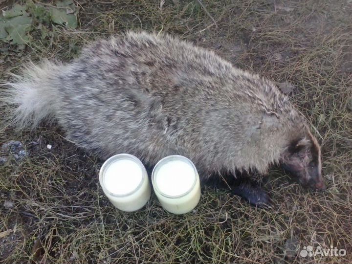 Настоящий Барсучий Жир