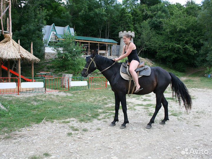 Гостеприимство кавказа все включено