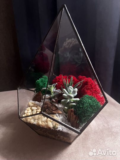 Флорариум подарок на 8 марта