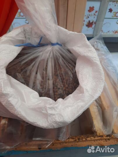 Перга пчелиная