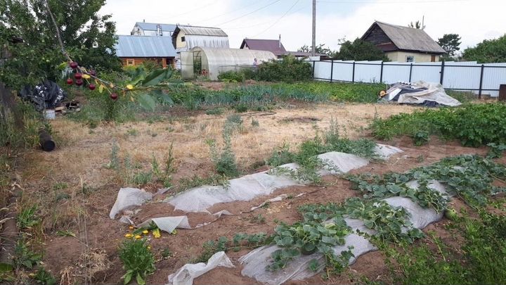 Дача 20 м² на участке 8 сот.