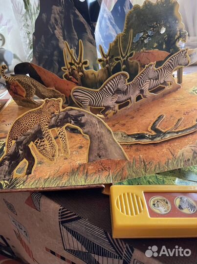 Книга со звуками