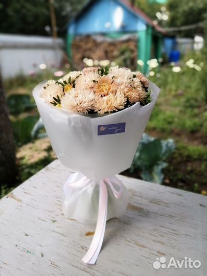 Букет цветы астры