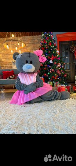 Поздравление,Мишка Тедди,Белый медведь,Панда,Зайка