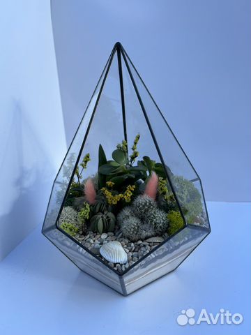 Флорариум суккуленты мох подарок