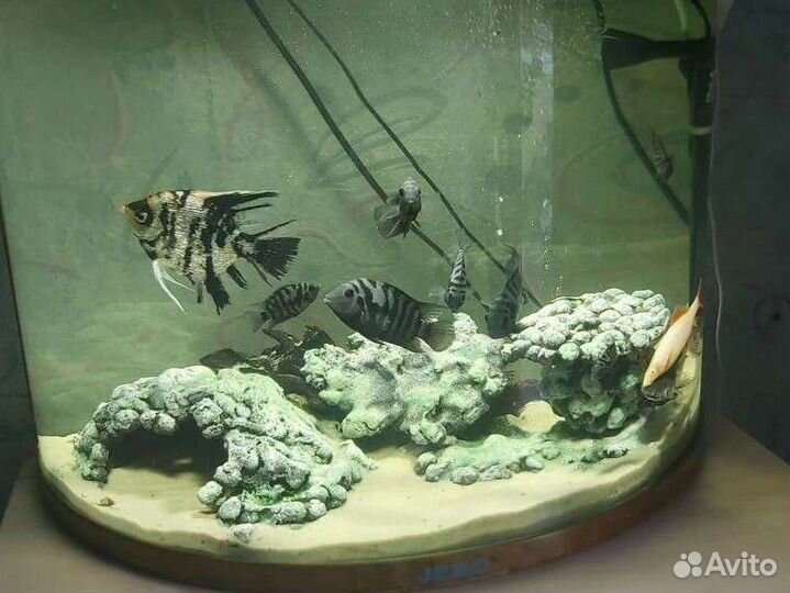Аквариум jebo R760