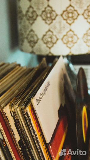 Виниловые пластинки