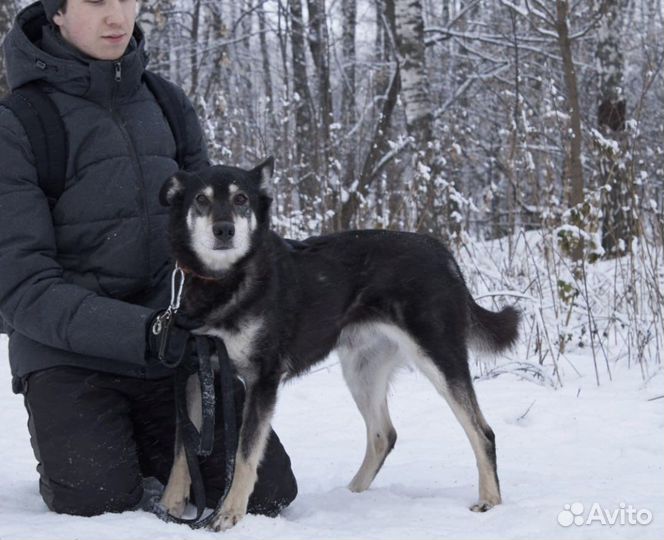 7-летний социальный Джоник надеется найти семью