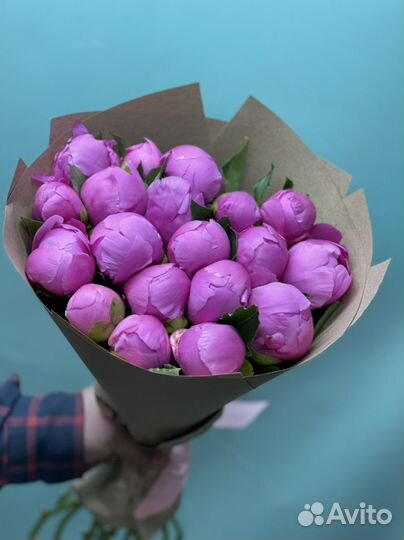 Пионы цветы Оптом