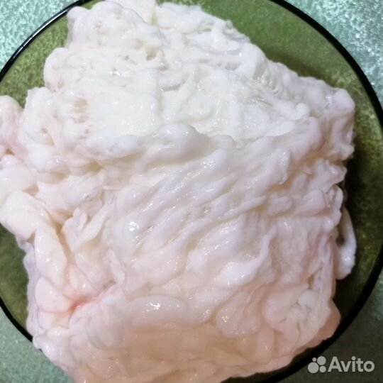 Мясо - козлятина