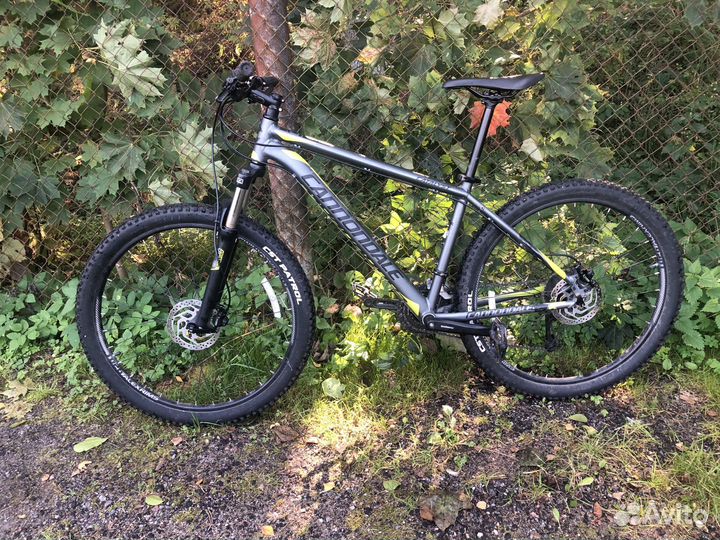 Cannondale Catalyst 1